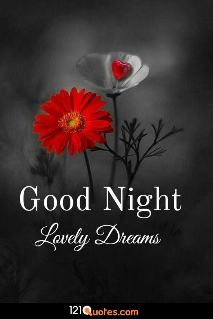 Good Night And Good Morning Wallpaper Free Download - Too Had A Love Story , HD Wallpaper & Backgrounds