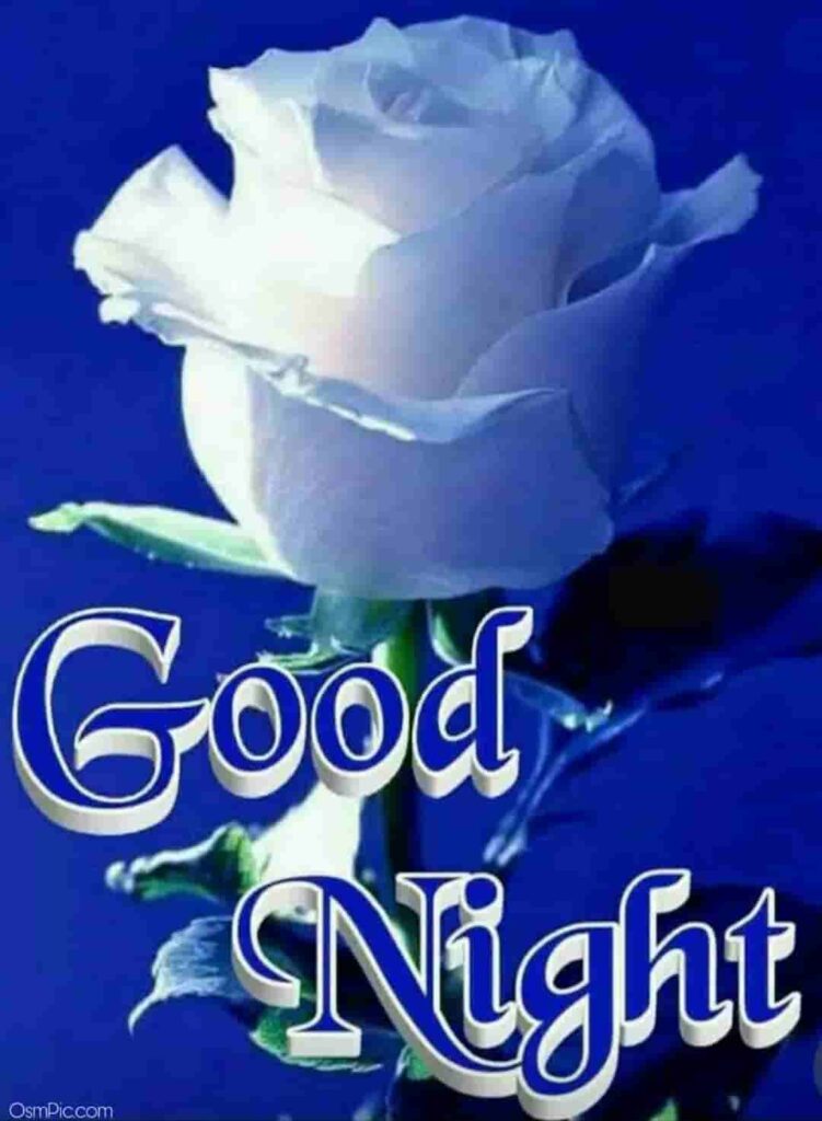 Latest Good Night Rose Pic For Whatsapp Dp - Beautiful Good Night Status , HD Wallpaper & Backgrounds