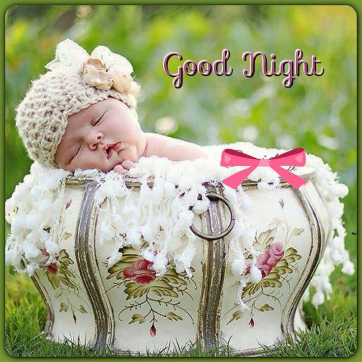 Good Night Hd Images Pictures - Beautiful Good Night Cute , HD Wallpaper & Backgrounds