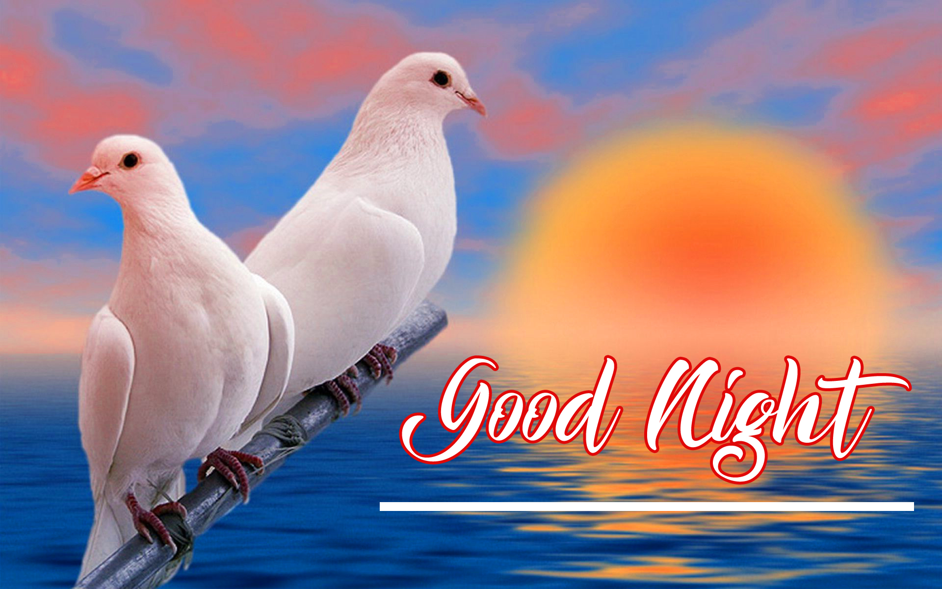 Good Night Images - Beautiful Love Birds , HD Wallpaper & Backgrounds