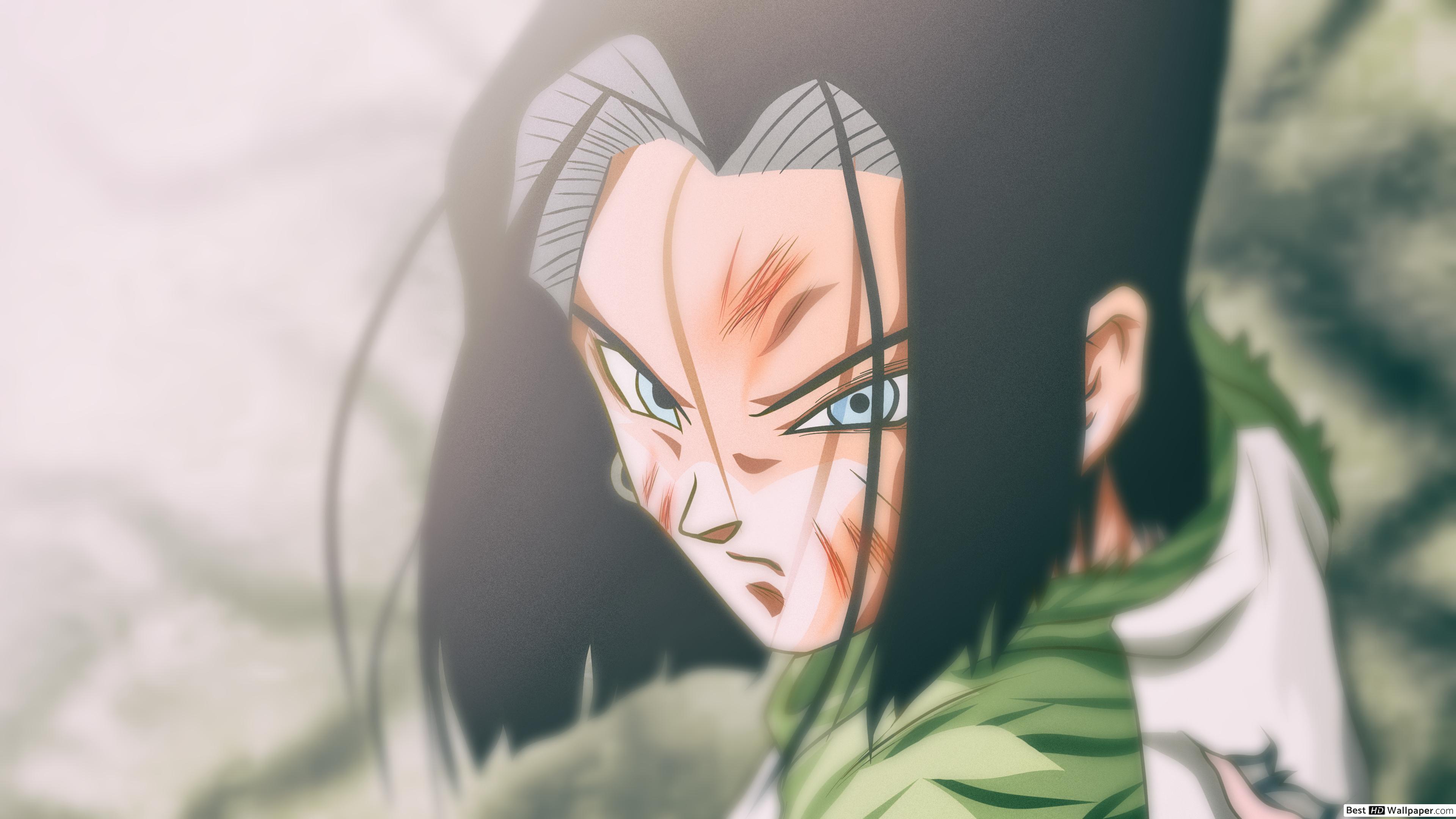 Android 17 , HD Wallpaper & Backgrounds