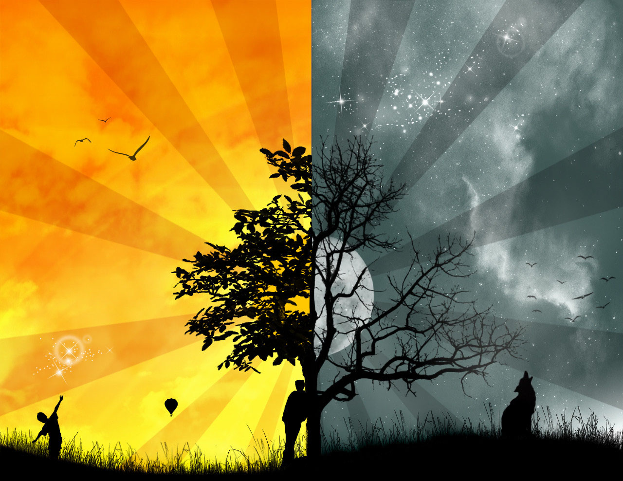 Nice Looking Wallpapers - Good And Evil Tree , HD Wallpaper & Backgrounds