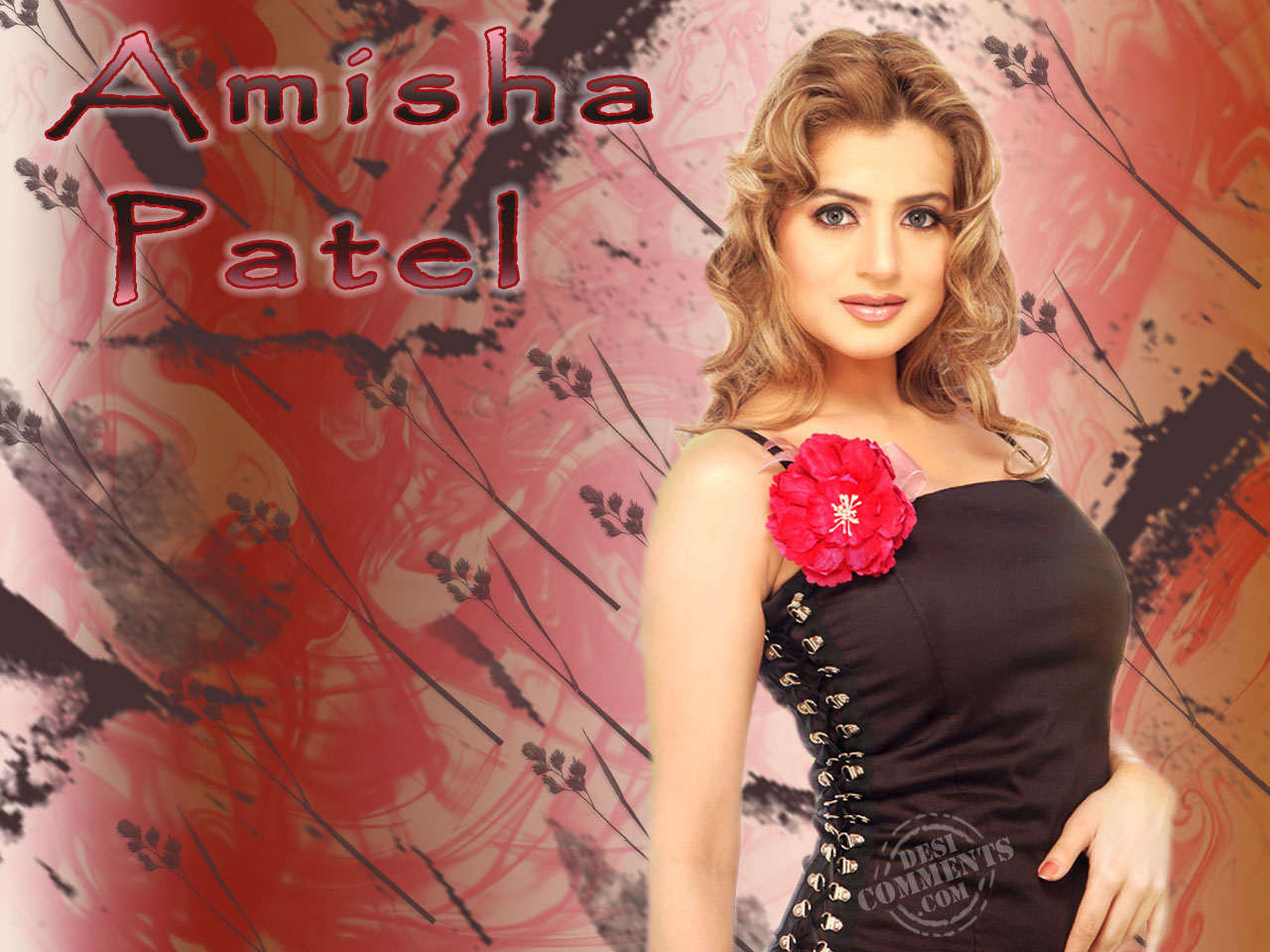 Amesha Patel , HD Wallpaper & Backgrounds