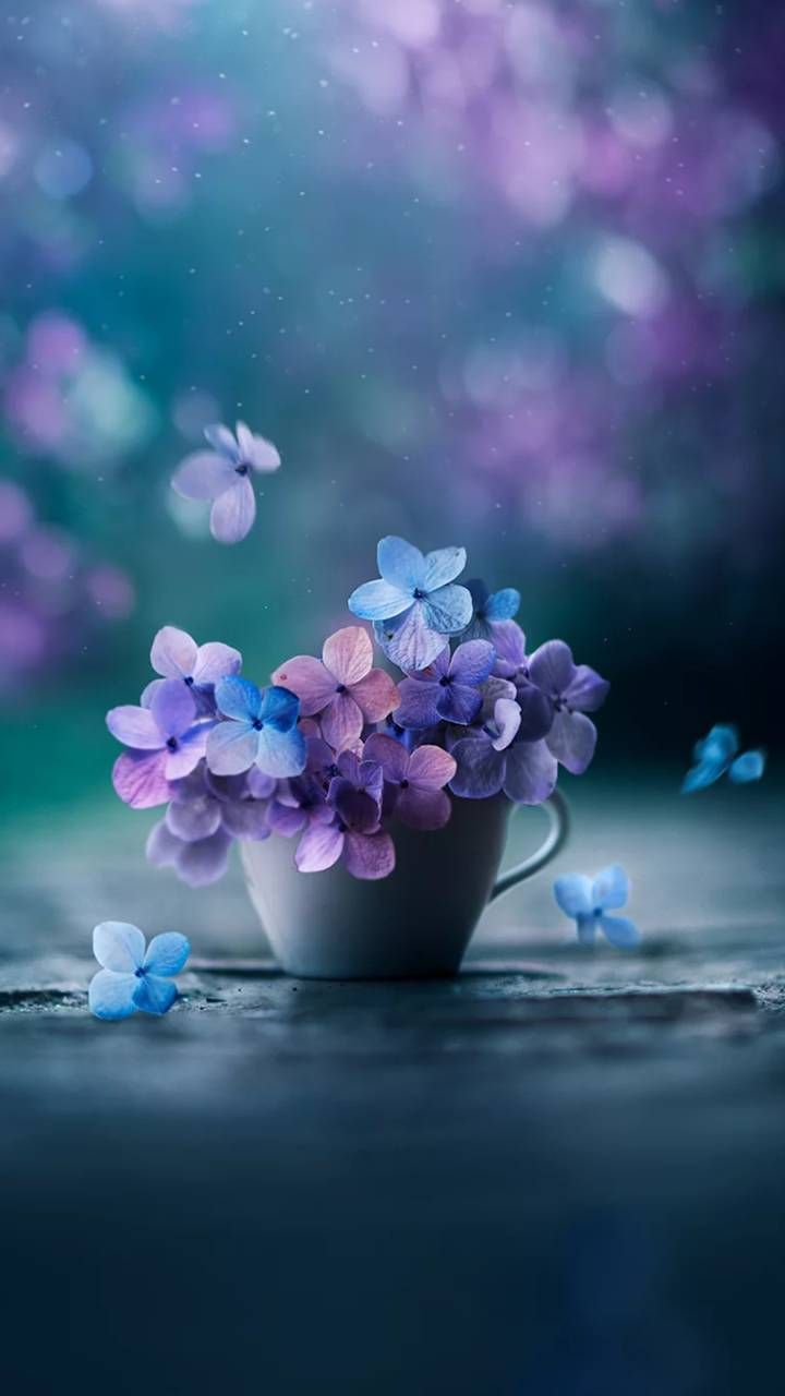 Iphone Beautiful Flower , HD Wallpaper & Backgrounds