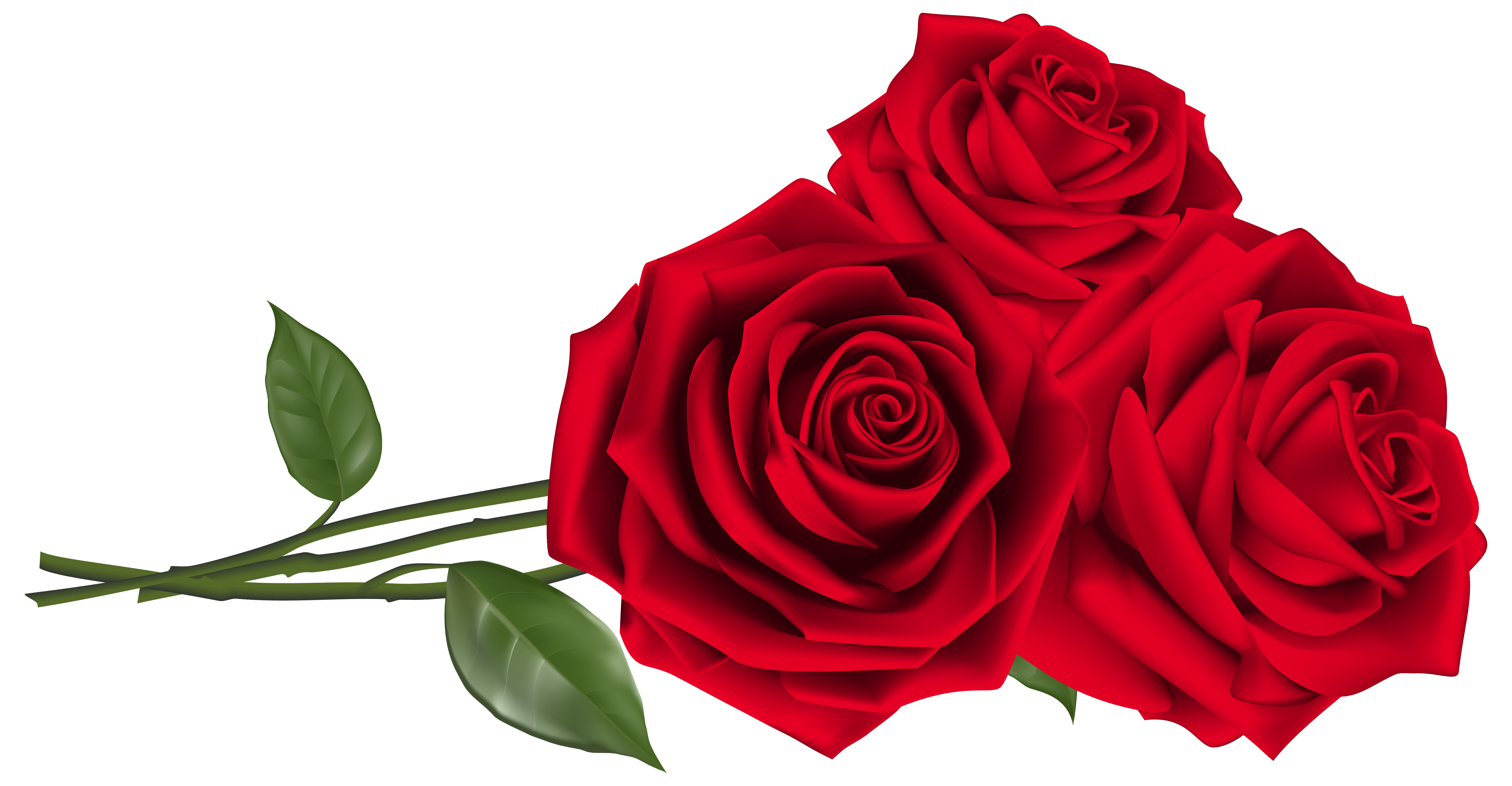 Three Red Roses Png - Red Roses Png , HD Wallpaper & Backgrounds