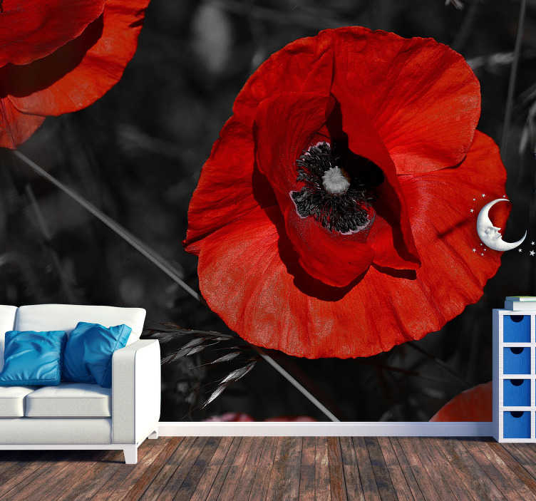 Blossom Poppy Flower Wallpaper Photo - Poppy Flower , HD Wallpaper & Backgrounds