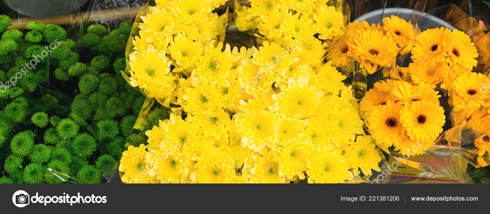 Flower Shop Flowers Delivery Concept Close Beautiful - Chrysanths , HD Wallpaper & Backgrounds