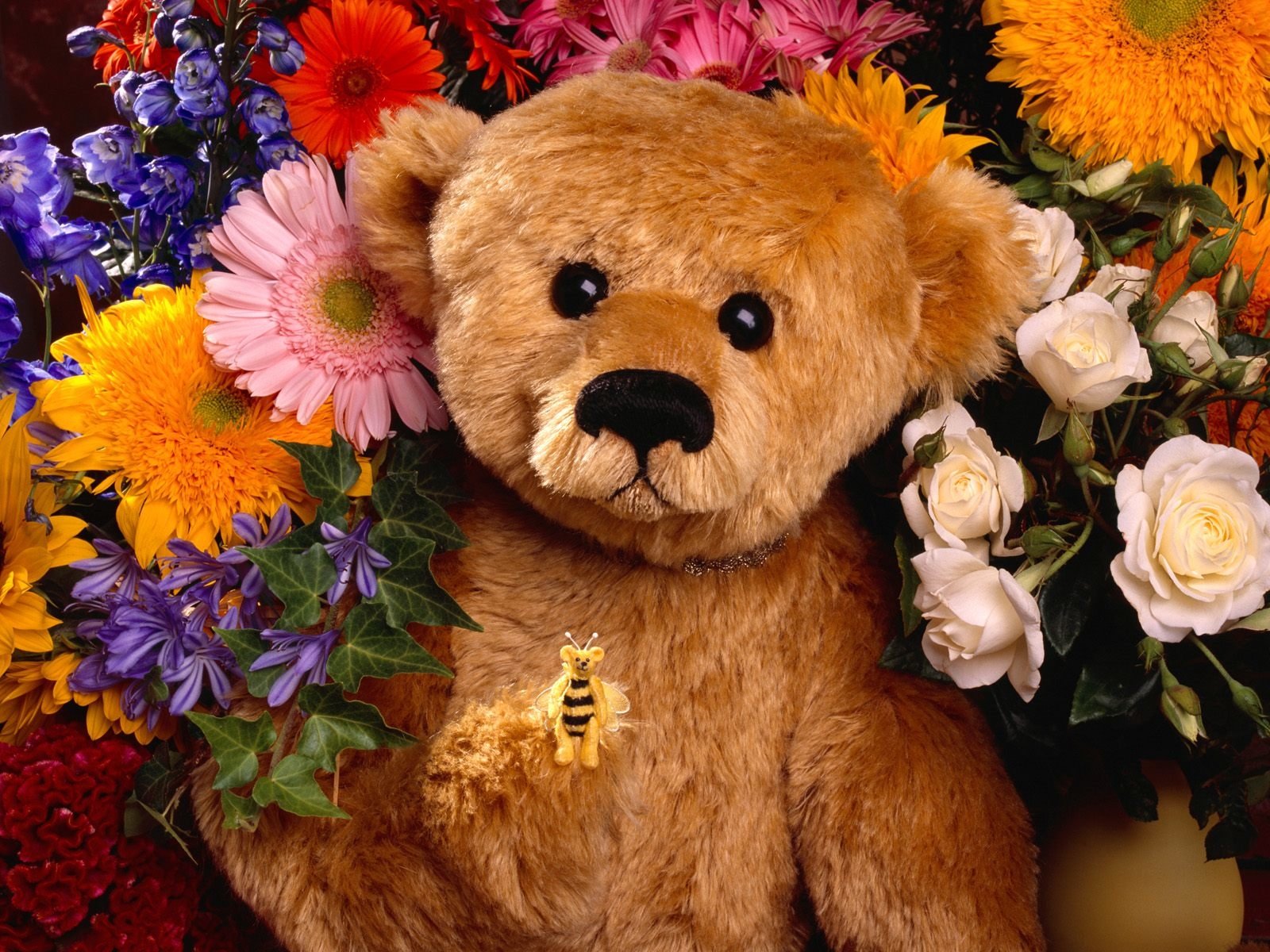 Name Day Teddy Bear , HD Wallpaper & Backgrounds