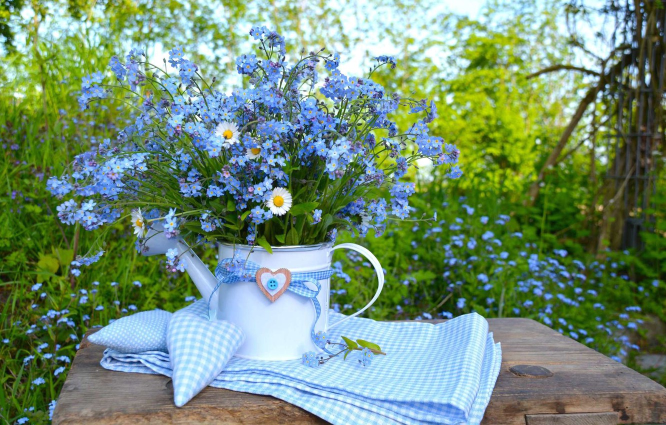 Photo Wallpaper Nature, Table, Blue, Heart, Chamomile, - Nature Heart And Flowers , HD Wallpaper & Backgrounds