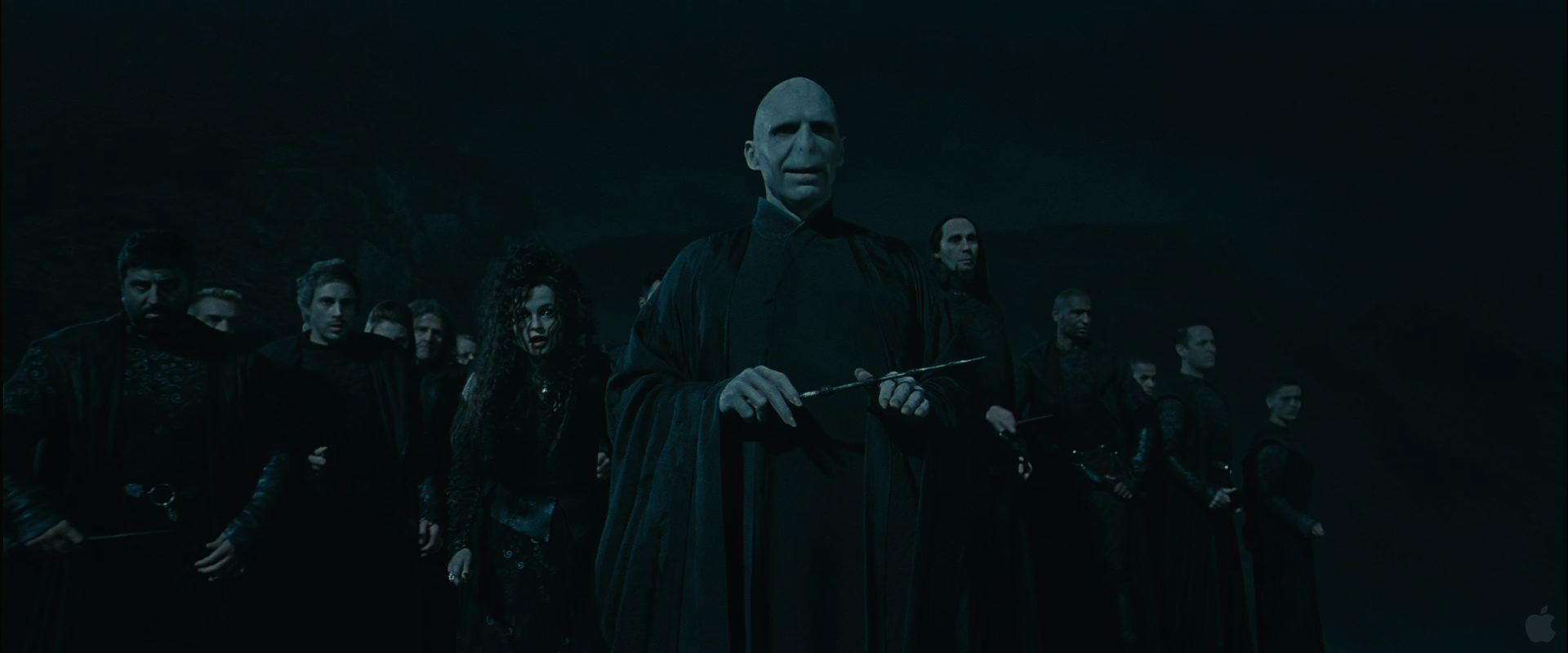 Lord Voldemort Harry Potter And The Deathly Hallows , HD Wallpaper & Backgrounds
