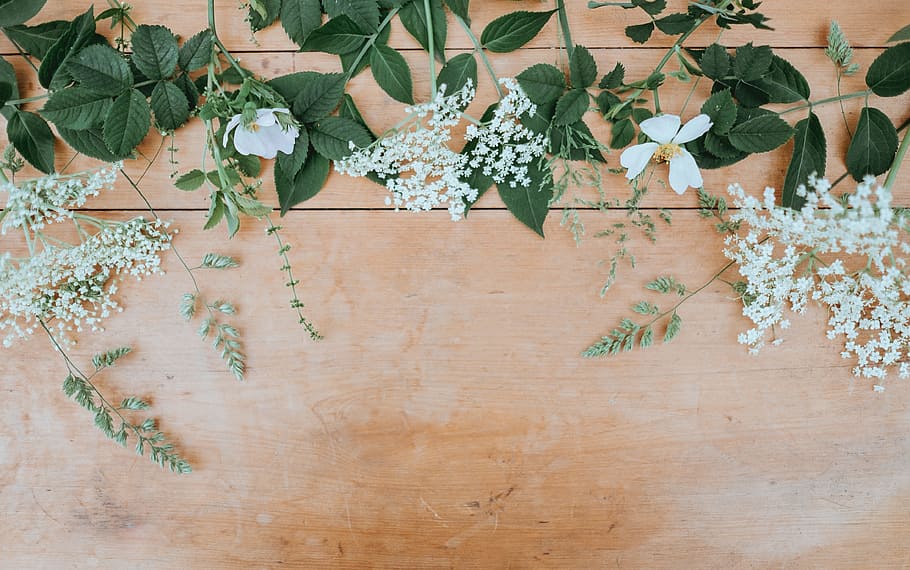 White Petaled Flowers With Green Leaves, Floral Desktop, - Floral Desktop , HD Wallpaper & Backgrounds