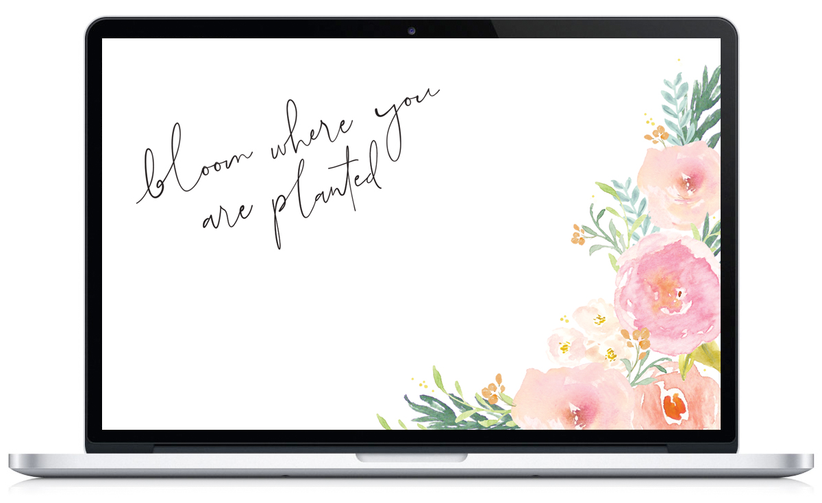 Bloom Where You Are Planted - Led-backlit Lcd Display , HD Wallpaper & Backgrounds