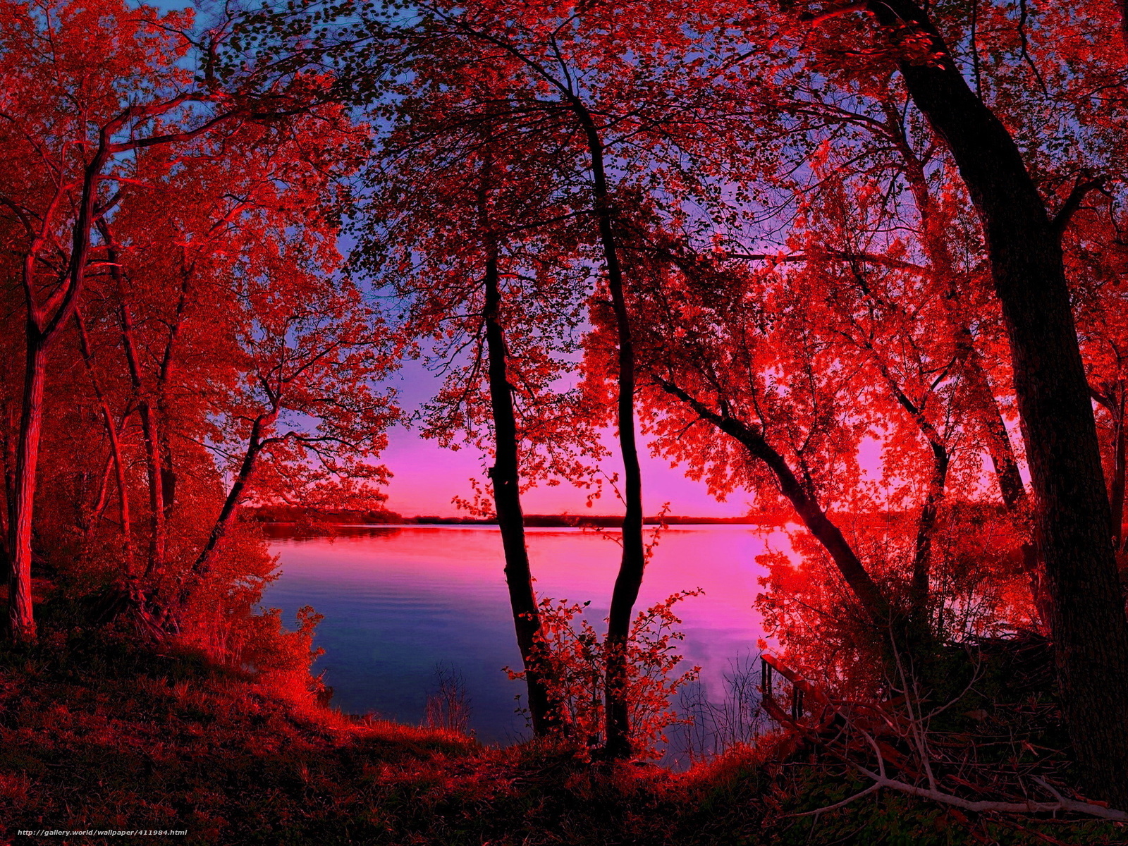 Download Wallpaper Nature, Lake, Morning, Crimson Free - Fondo Rojo Naturaleza Hd , HD Wallpaper & Backgrounds