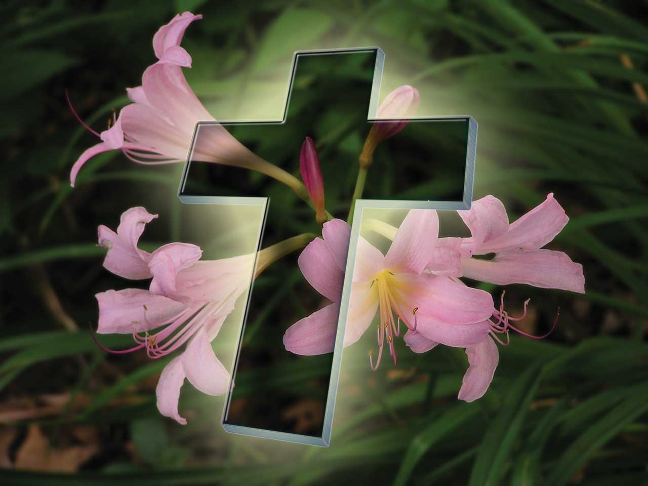 Easter Desktop Wallpapers 03 Easter Desktop Wallpapers - Easter Lily And Cross , HD Wallpaper & Backgrounds