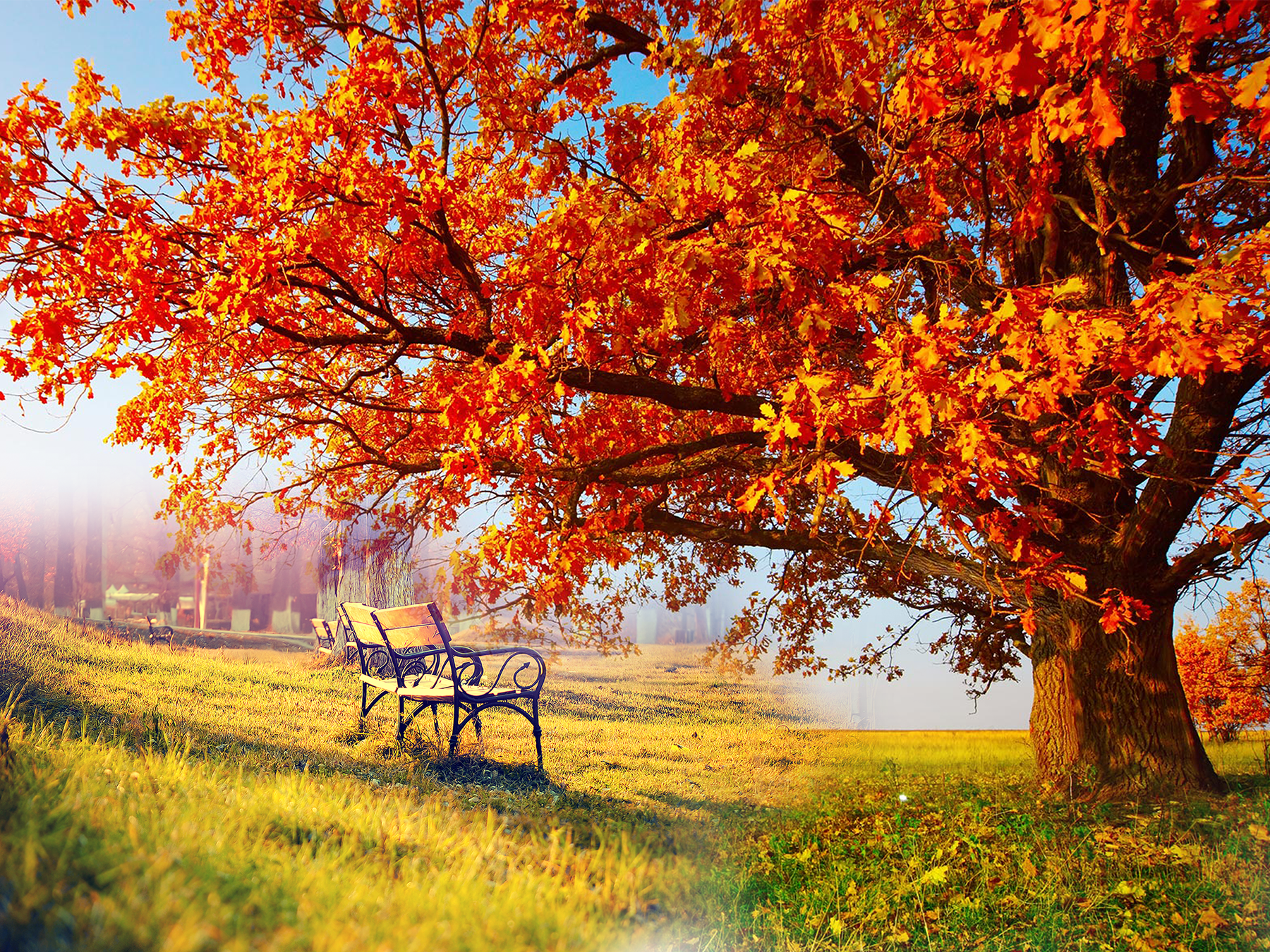 Free Hd Desktop Wallpaper - Autumn Wallpaper 8k , HD Wallpaper & Backgrounds