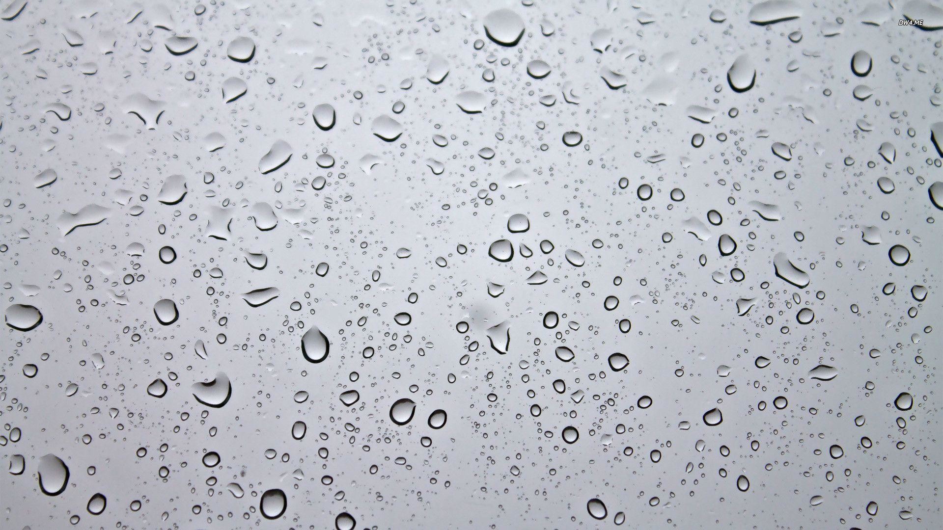 Wallpapers For > Wallpaper Of Water Droplets 
 Data - Water Drops On Glass , HD Wallpaper & Backgrounds