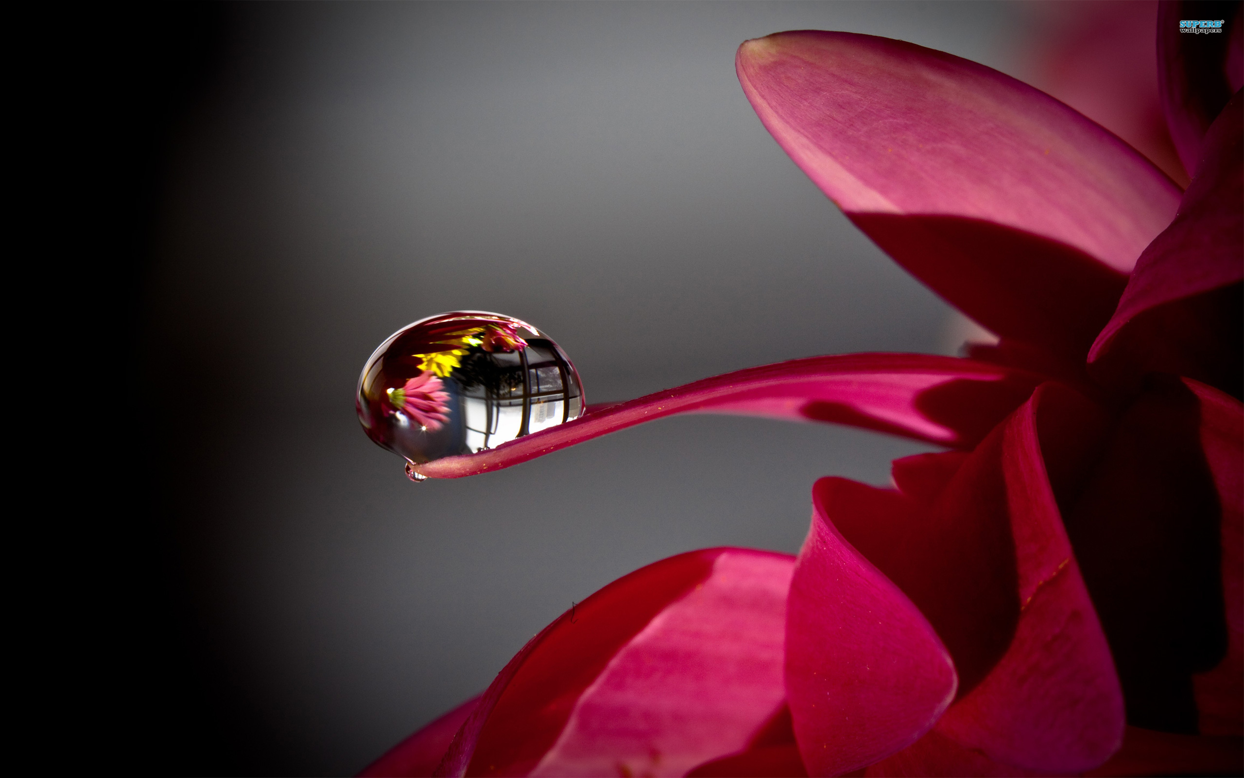 4k Ultra Hd Water Drop (#3226917) - HD Wallpaper \u0026 Backgrounds Download, image size:2560x1600