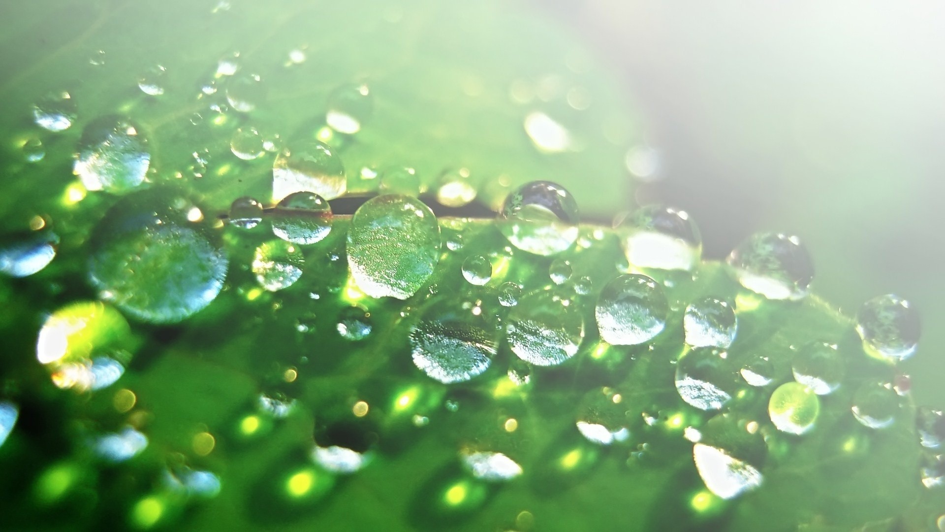 Cool Water Wallpaper Cool Water Droplet Backgrounds Hd Wallpaper Backgrounds Download