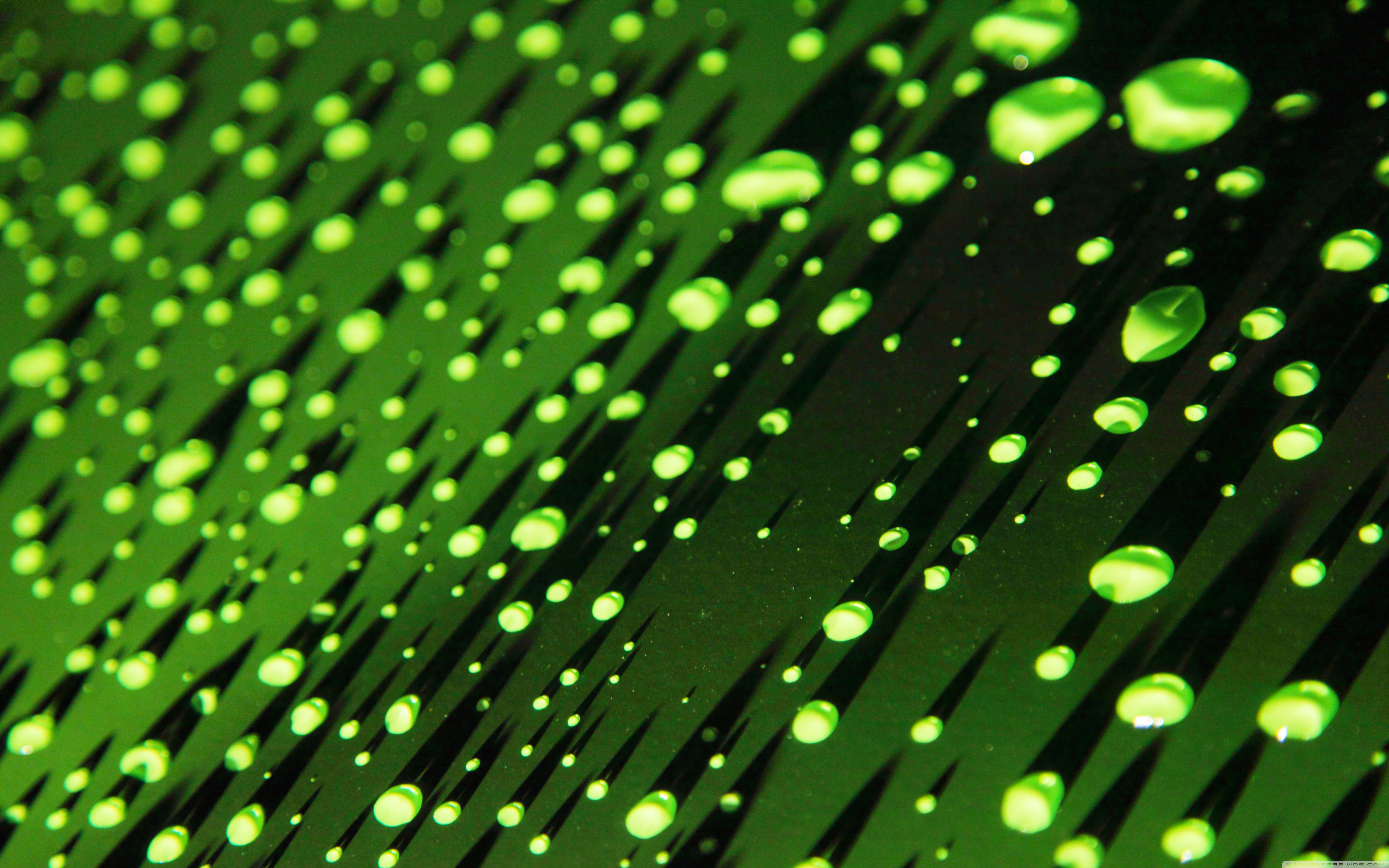 Water Drop Green , HD Wallpaper & Backgrounds