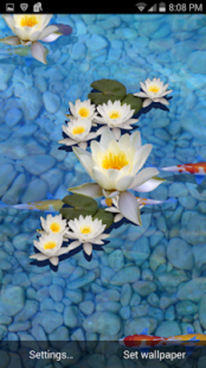 Water Live Wallpaper For Android - Water Lily , HD Wallpaper & Backgrounds