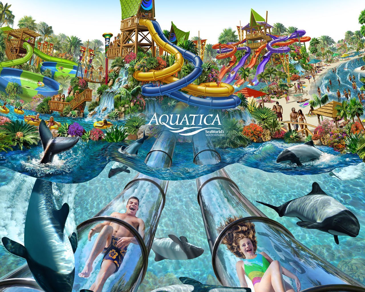 Aquatica Orlando Florida - Parque Aquatica Orlando , HD Wallpaper & Backgrounds