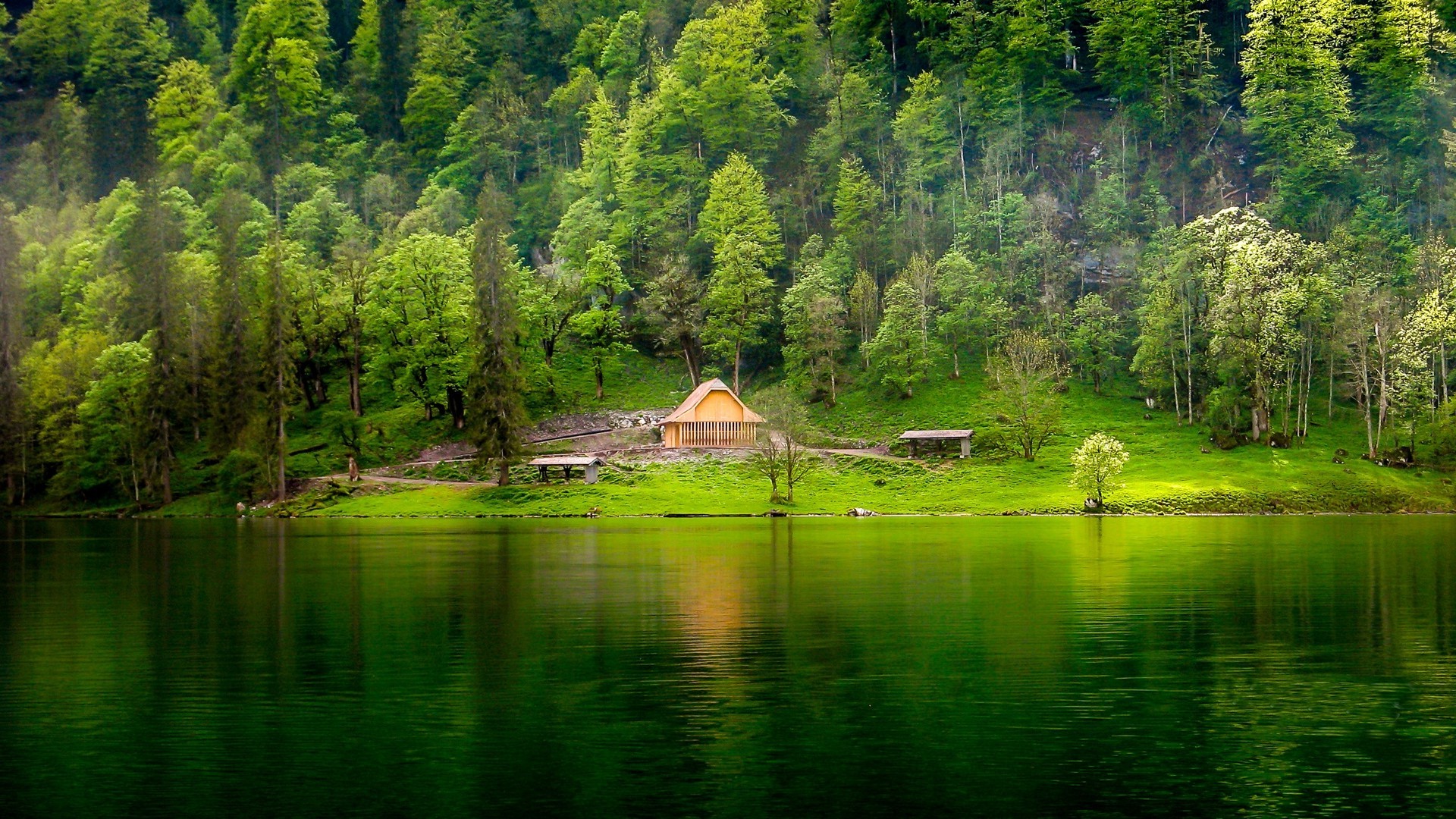 Green, Lake, Forest, Grass, Mist, Hill, Cabin, Trees, - Green Lake Wallpaper Hd , HD Wallpaper & Backgrounds