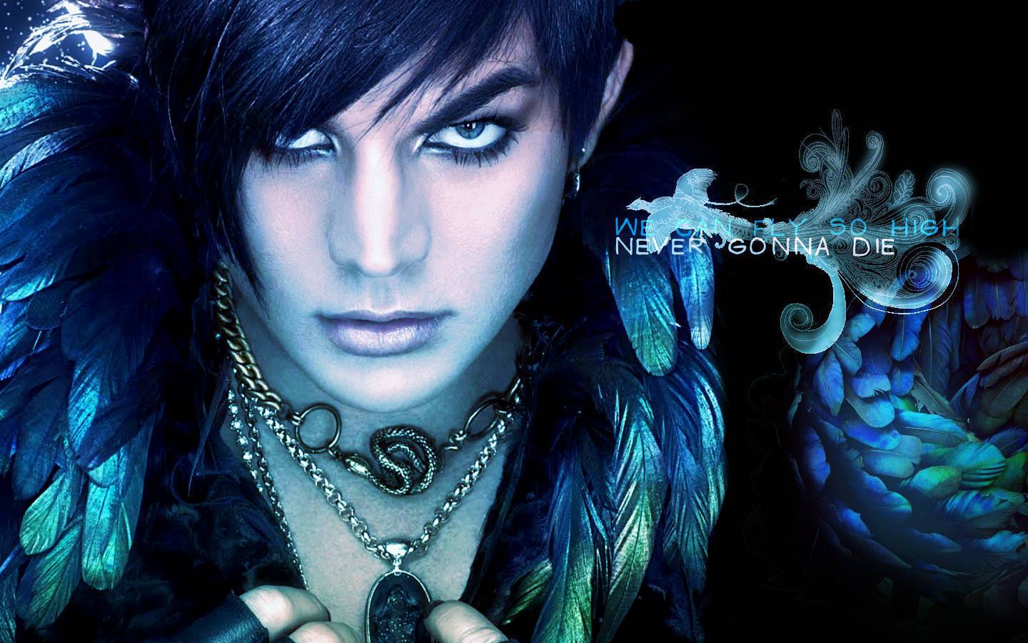 Adam♥lambert - Adam Lambert , HD Wallpaper & Backgrounds