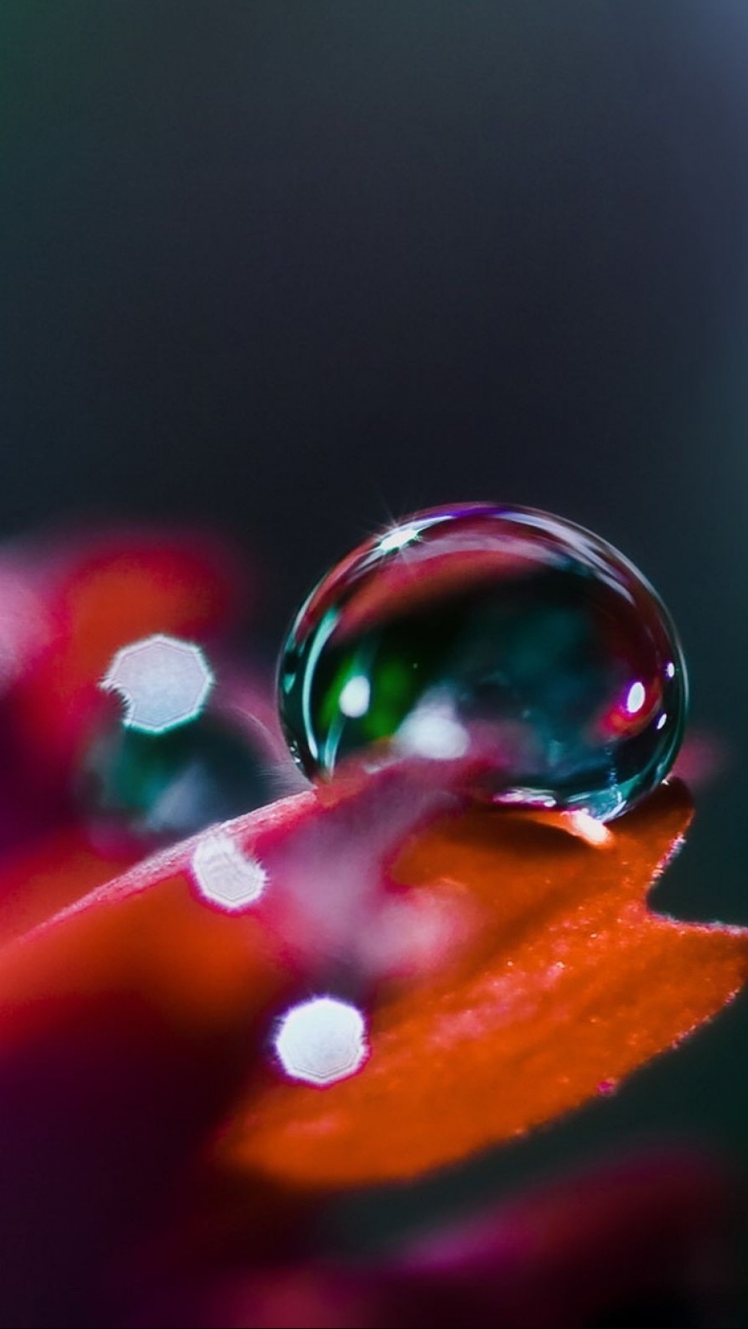 Wallpaper - Nature Rain Drops Images Hd , HD Wallpaper & Backgrounds