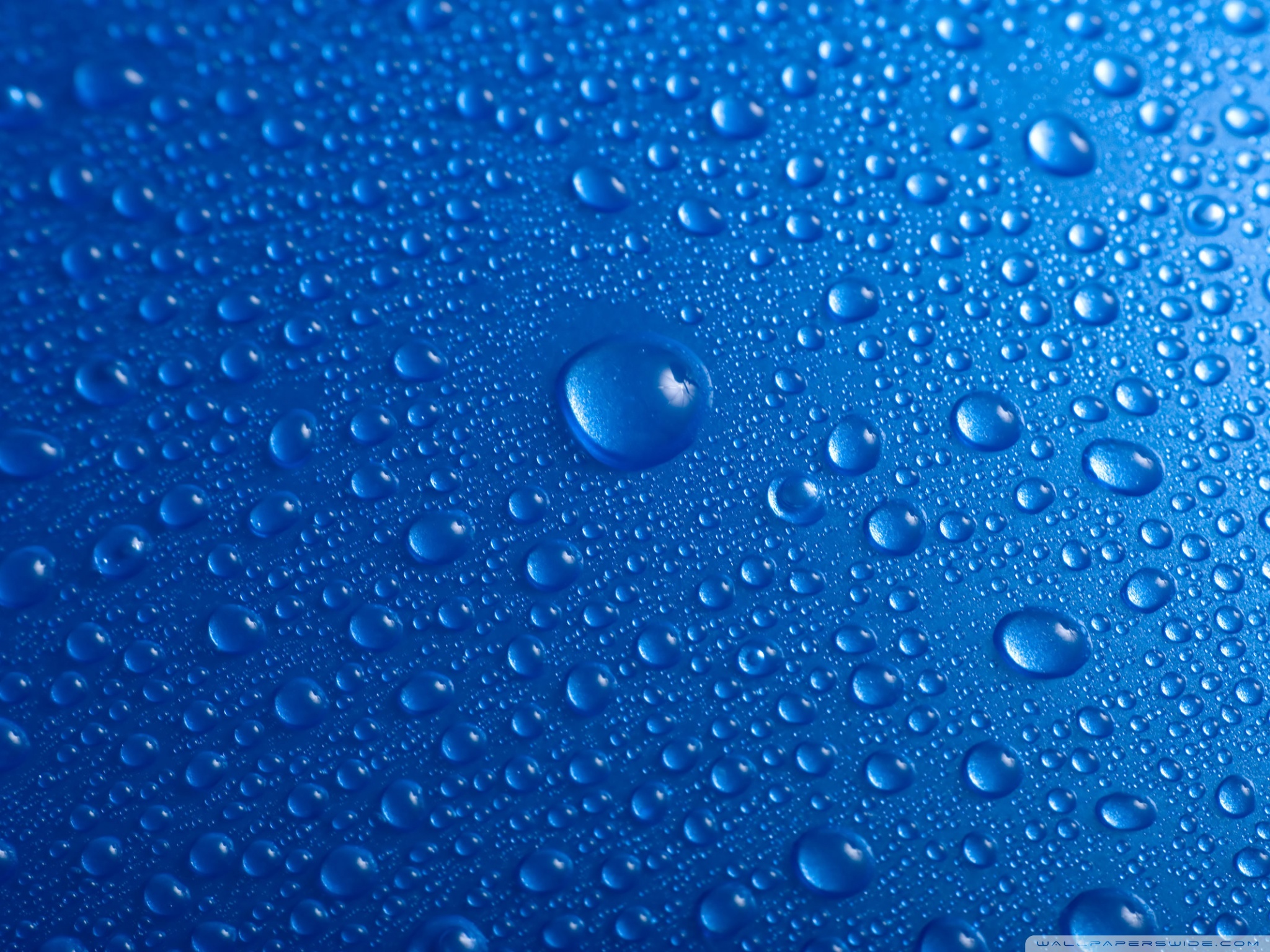 Water Droplets Wallpaper - Water Hd Wallpaper Mobile , HD Wallpaper & Backgrounds