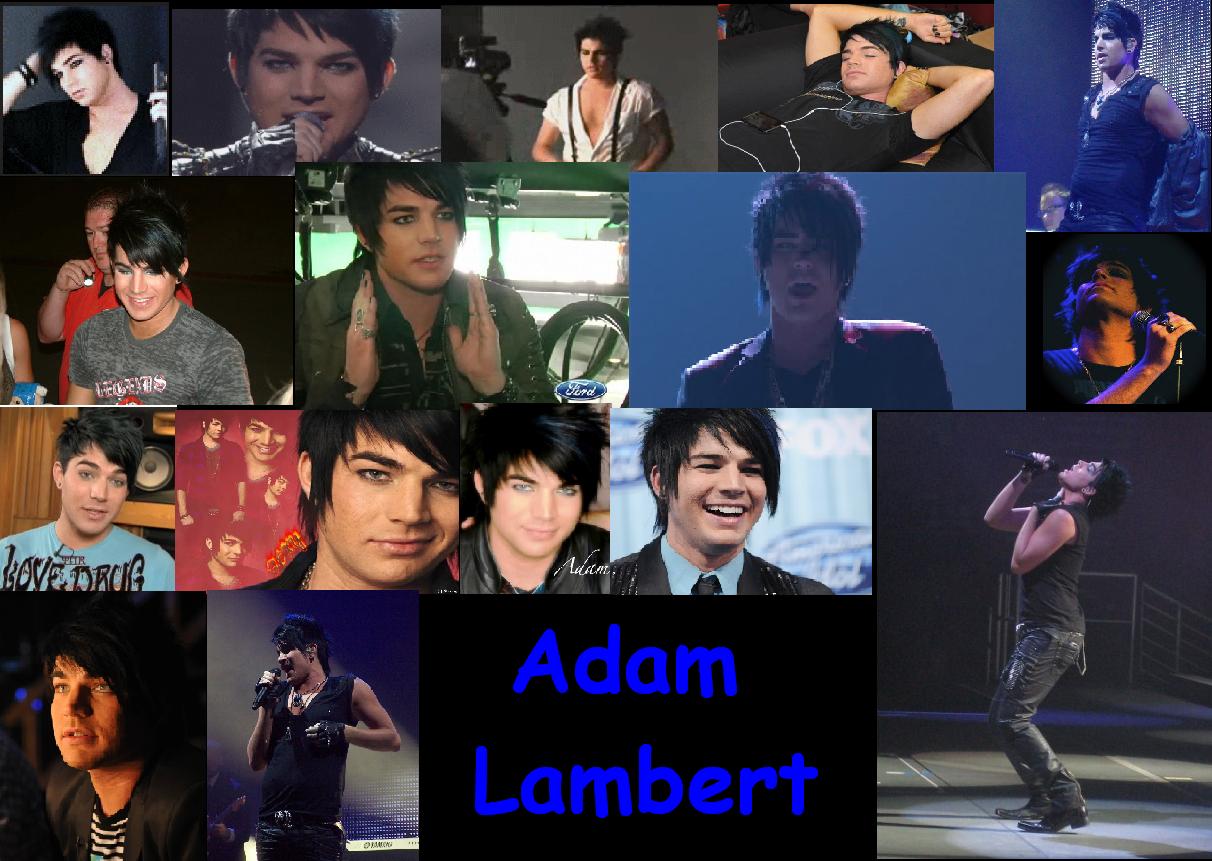 Adam Lambert American Idol , HD Wallpaper & Backgrounds