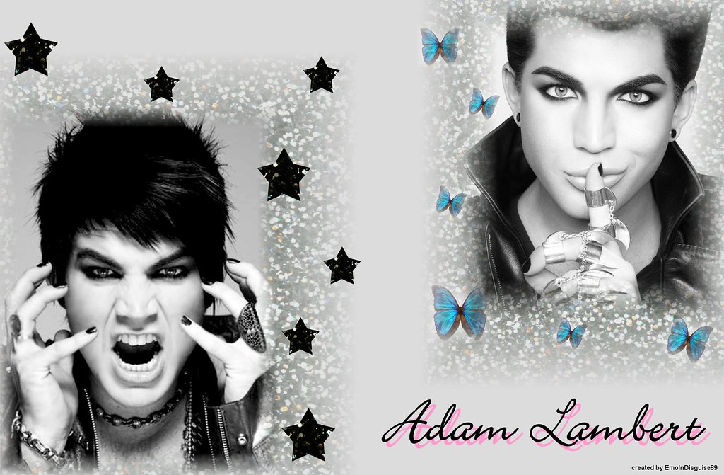 Adam Lambert Wallpaper , HD Wallpaper & Backgrounds