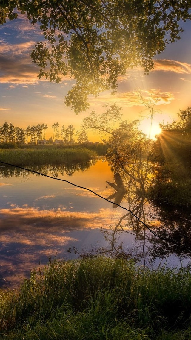 Iphone Wallpaper Sunset Scenery, Trees, Grass, River, - Reflection , HD Wallpaper & Backgrounds