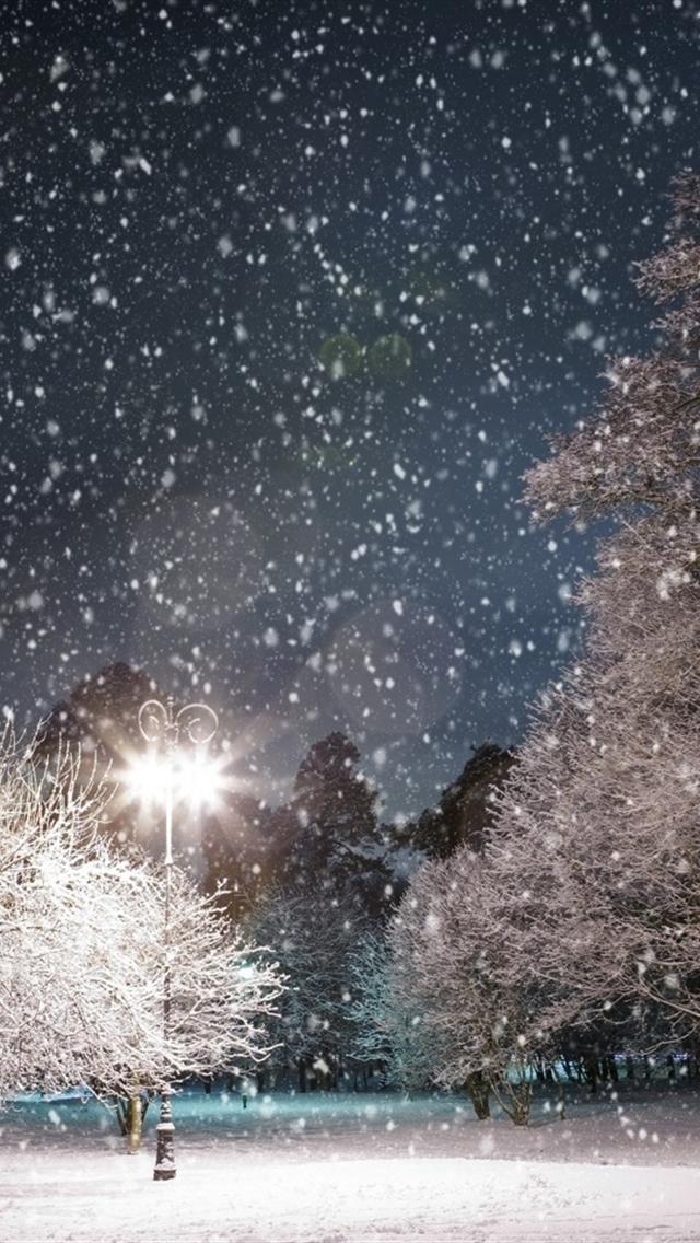 Winter Scenery Iphone 5 Wallpapers Downloads - Winter Wallpaper Iphone Hd , HD Wallpaper & Backgrounds