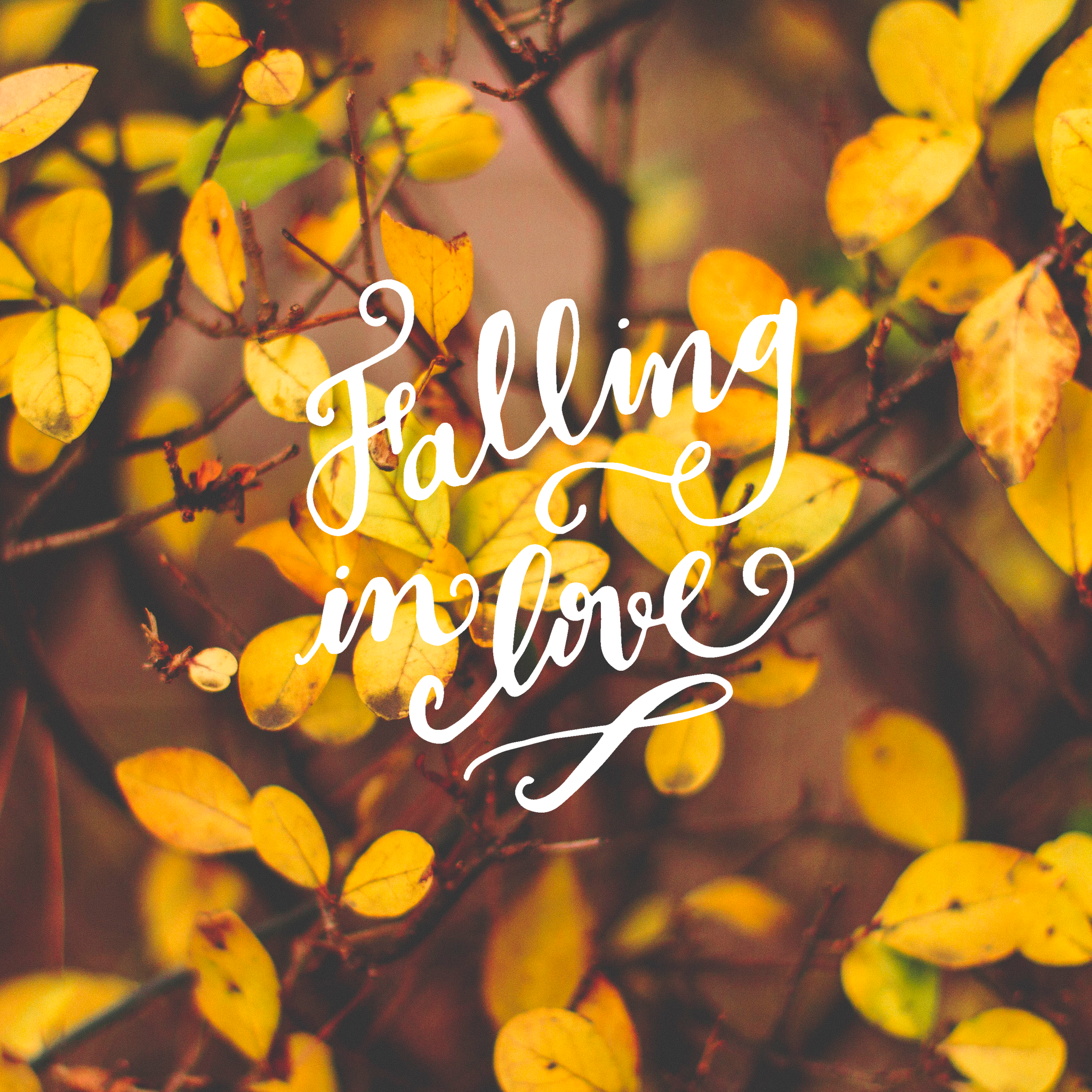 Fall Wallpaper Ipad , HD Wallpaper & Backgrounds