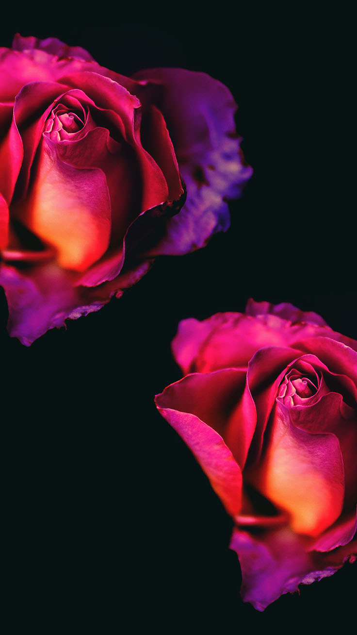 Floral Roses Iphone Wallpaper By Preppy Wallpapers - Lock Screen Rose Wallpaper Iphone , HD Wallpaper & Backgrounds