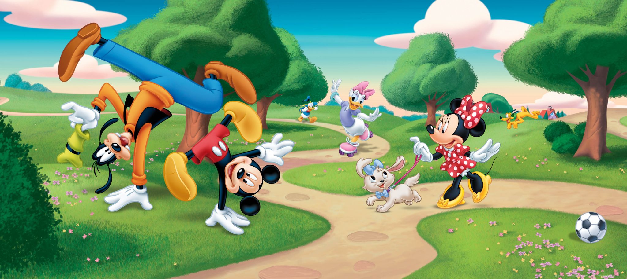Mickey Mouse In The Park , HD Wallpaper & Backgrounds