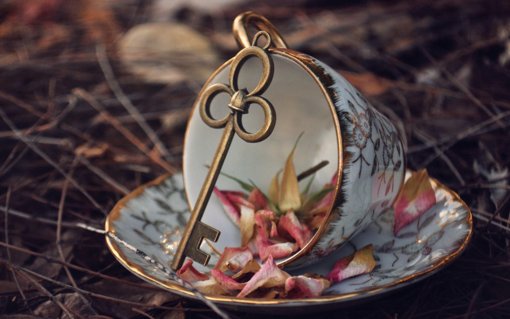 Gold Old Key On The Cup Macro Wallpaper Pc Wallpaper - Hd Romantic Wallpaper For Pc , HD Wallpaper & Backgrounds
