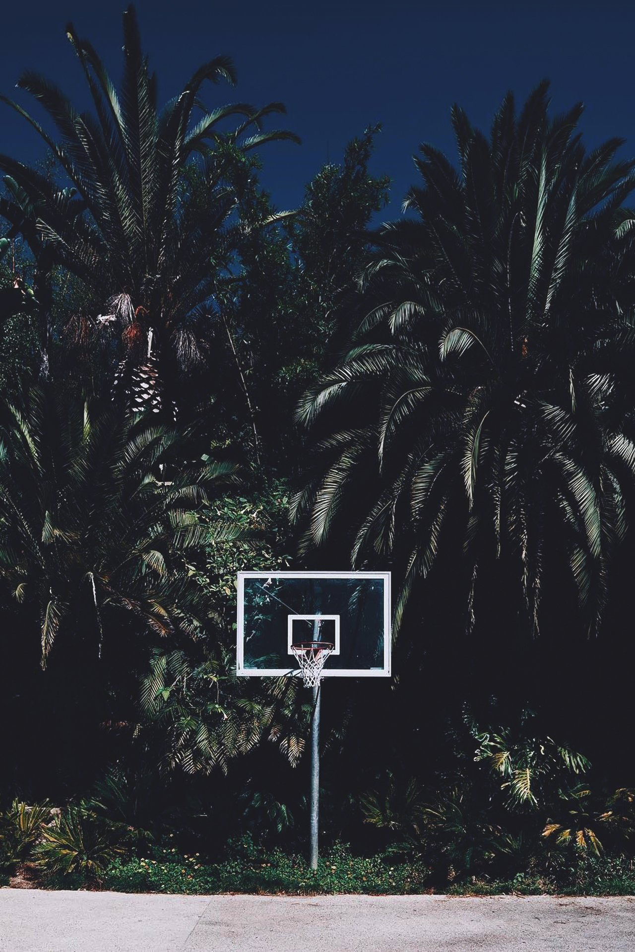 Dope Wallpaper Basketball , HD Wallpaper & Backgrounds