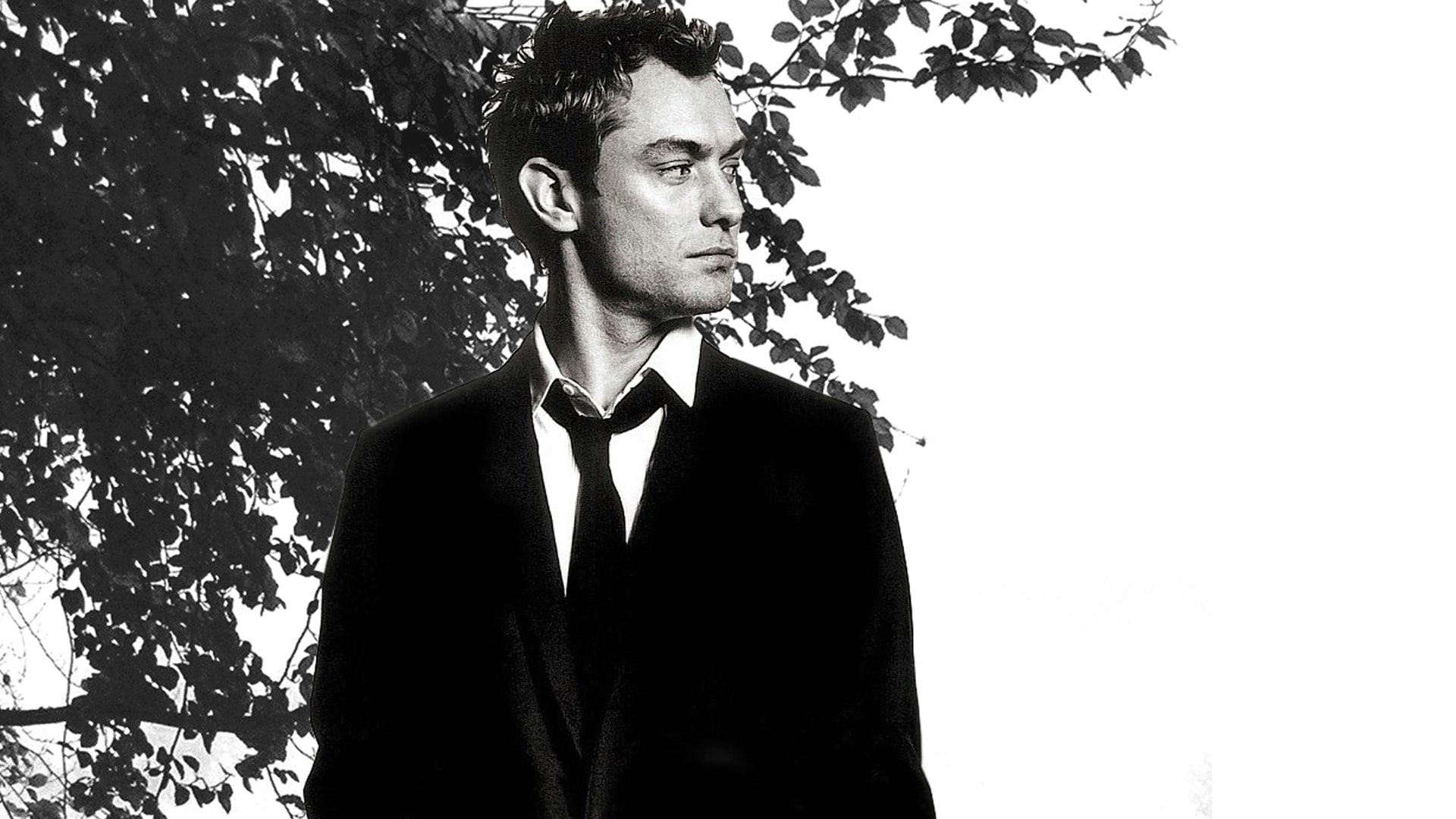 Jude Law Hd Pictures - Jude Law , HD Wallpaper & Backgrounds
