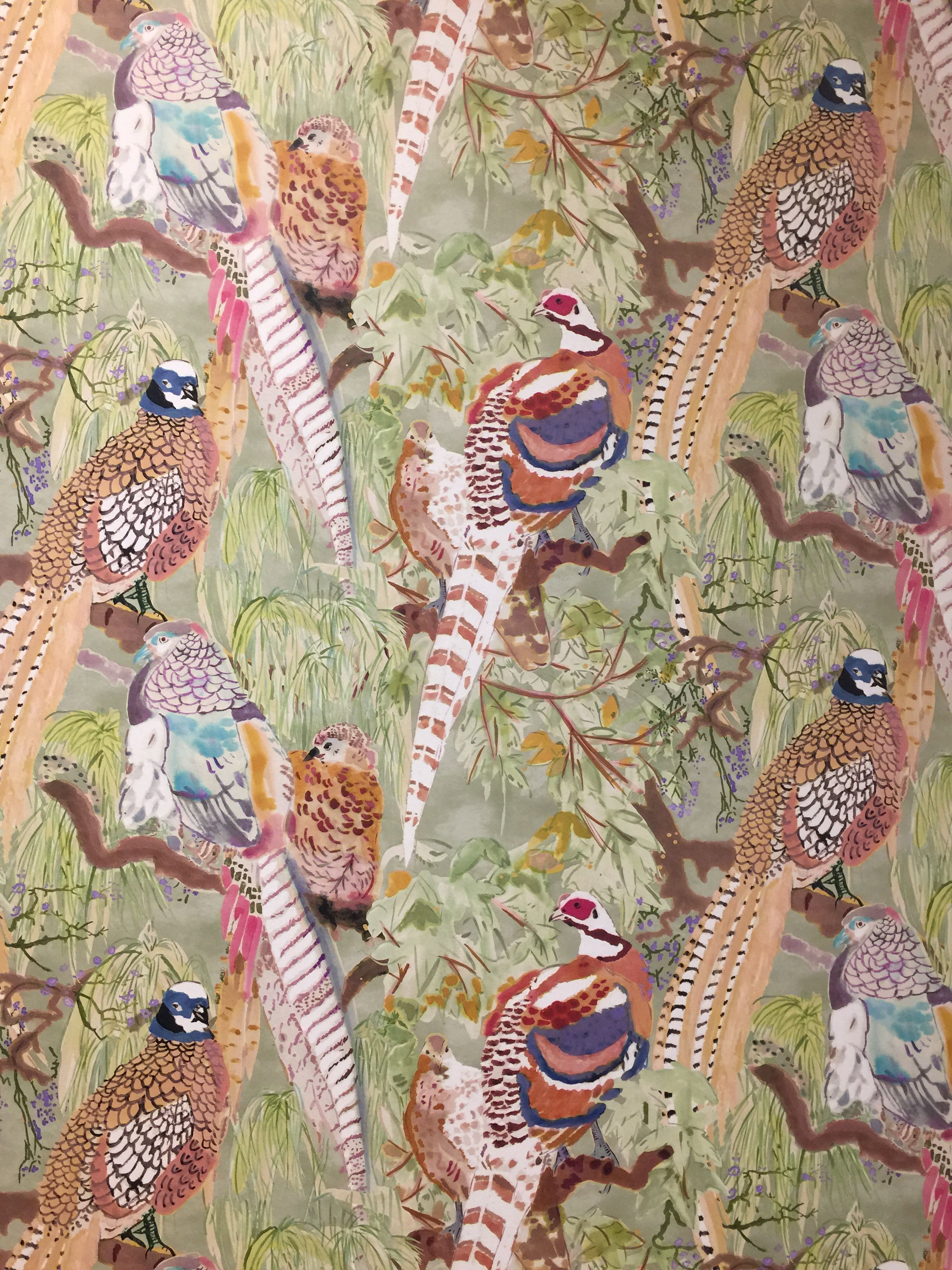 Pheasant Wallpaper Mulberry , HD Wallpaper & Backgrounds