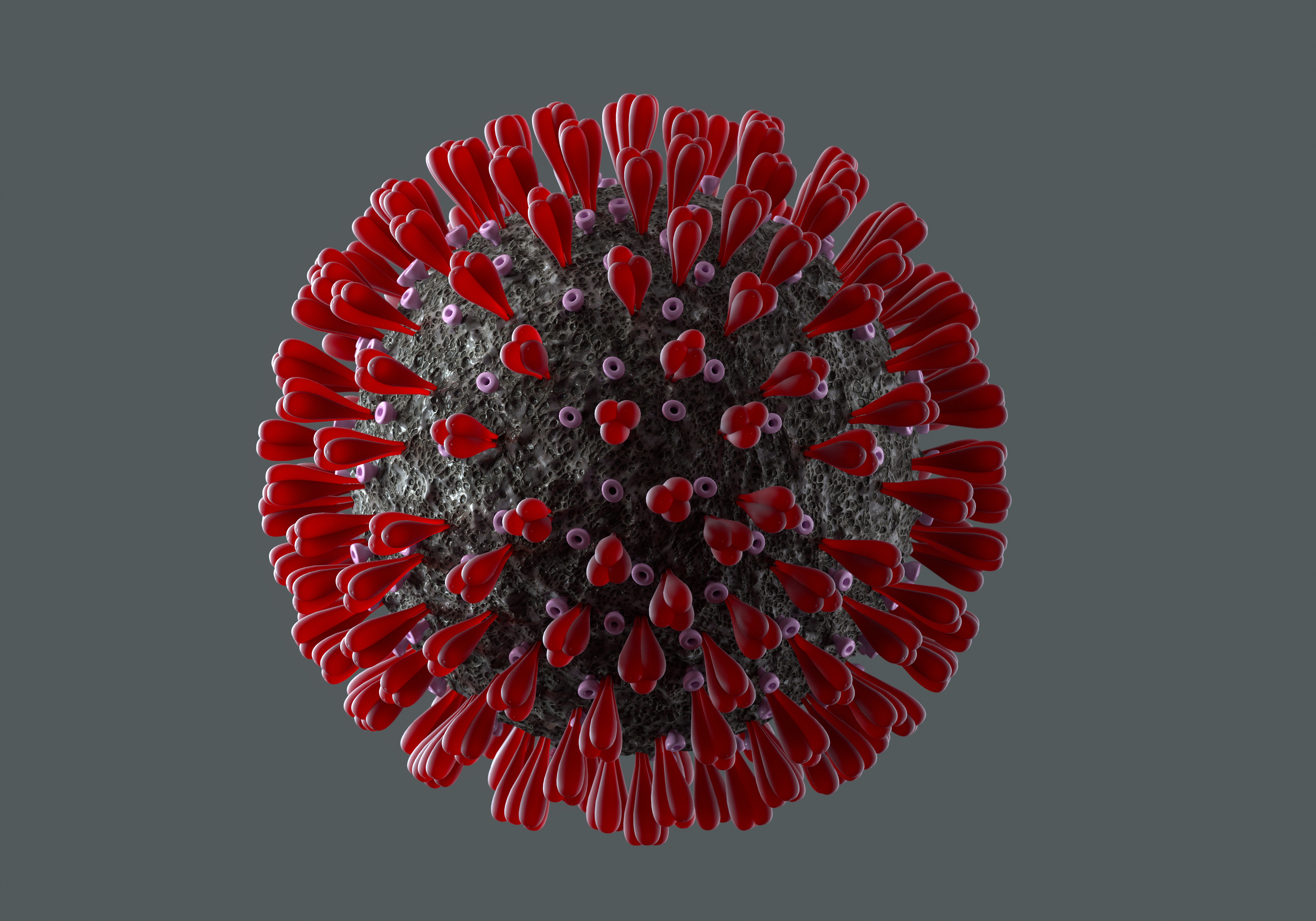 Coronavirus Malaria , HD Wallpaper & Backgrounds
