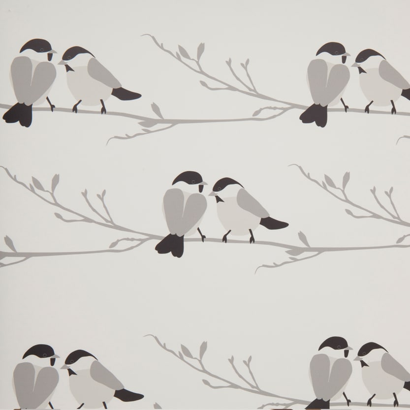 Willow Tit Grey Bird - Grey Bird Wallpaper Uk , HD Wallpaper & Backgrounds