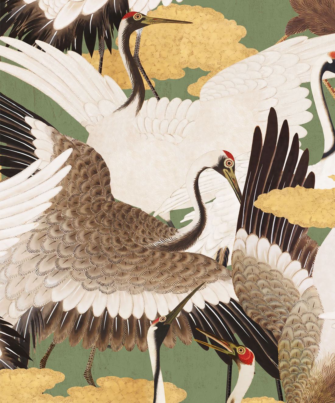 Japanese Crane , HD Wallpaper & Backgrounds