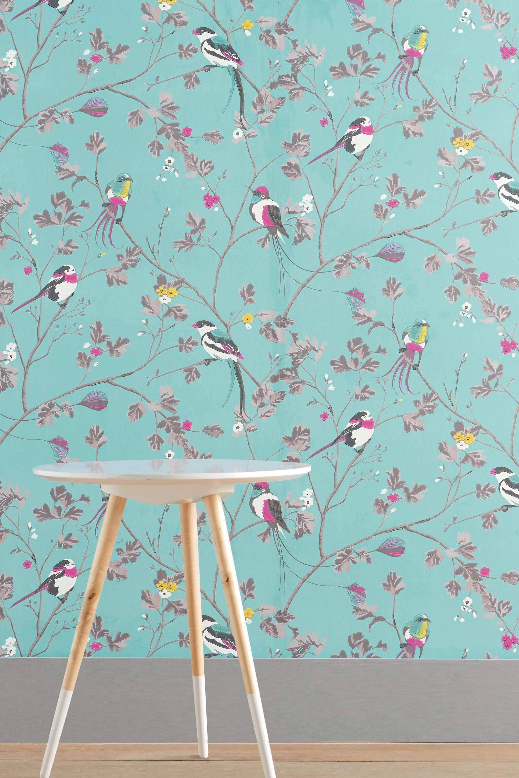 Next Teal Bird , HD Wallpaper & Backgrounds