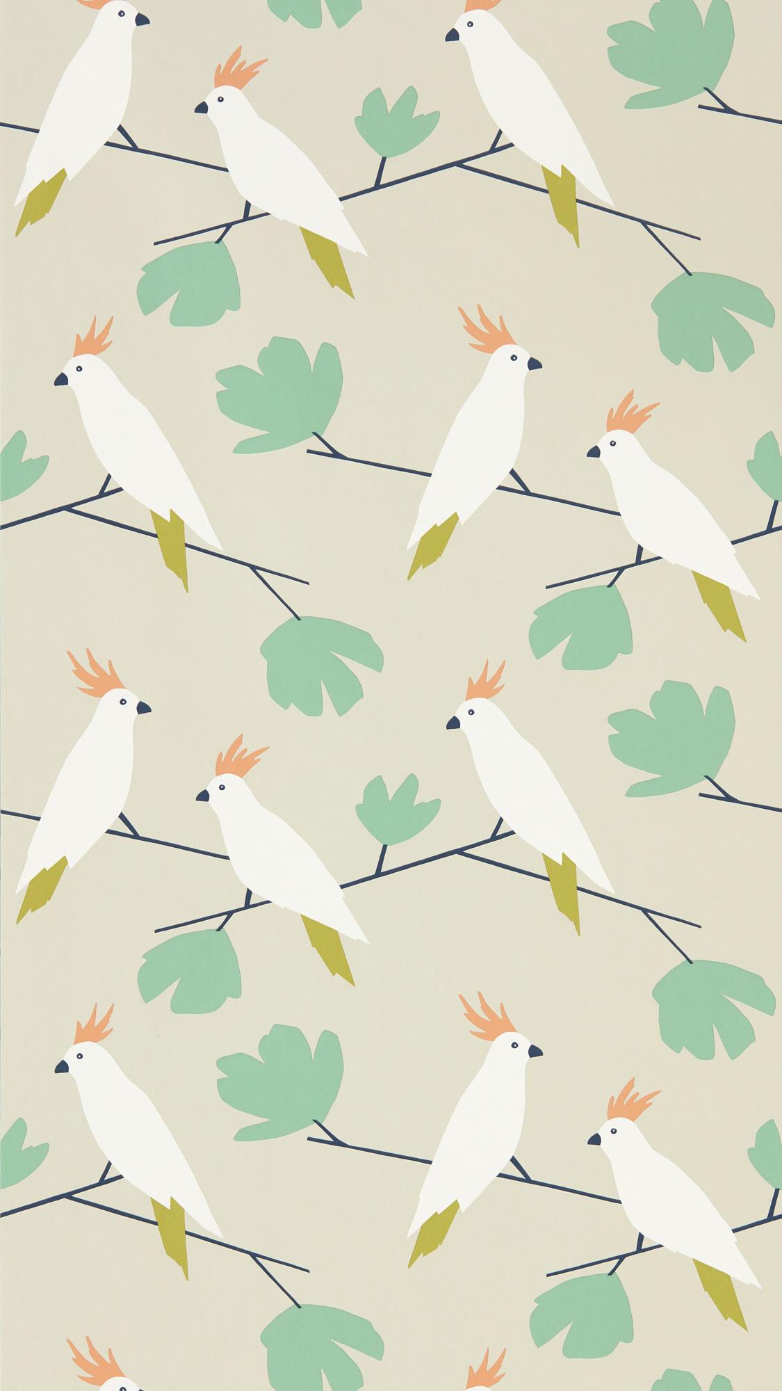 Scion Love Birds , HD Wallpaper & Backgrounds