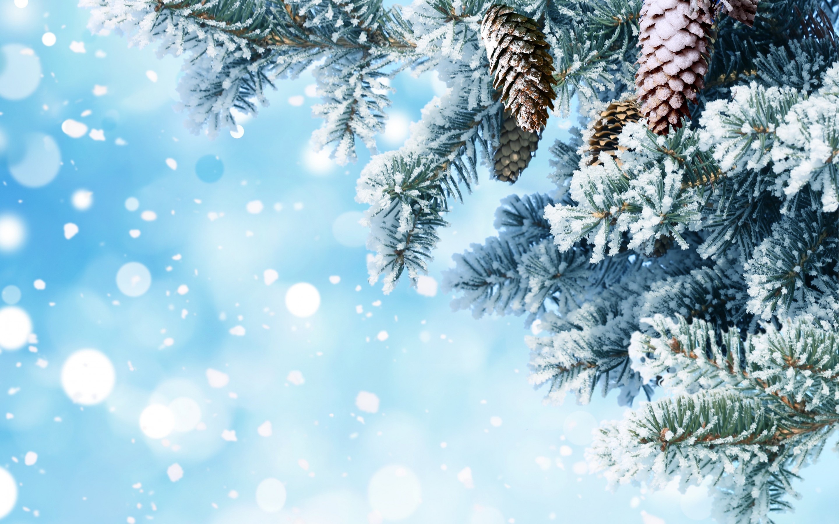 New Year Wallpaper Snow , HD Wallpaper & Backgrounds