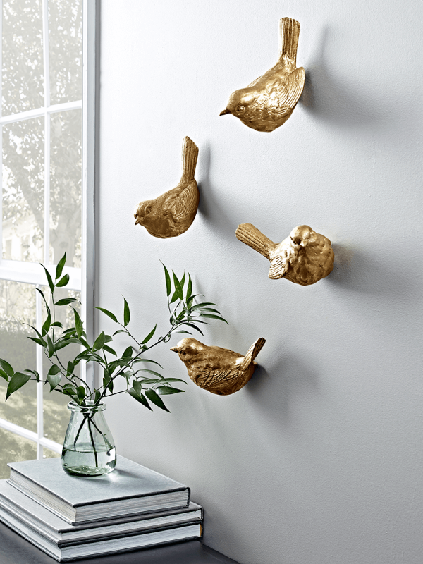 Hanging Birds , HD Wallpaper & Backgrounds