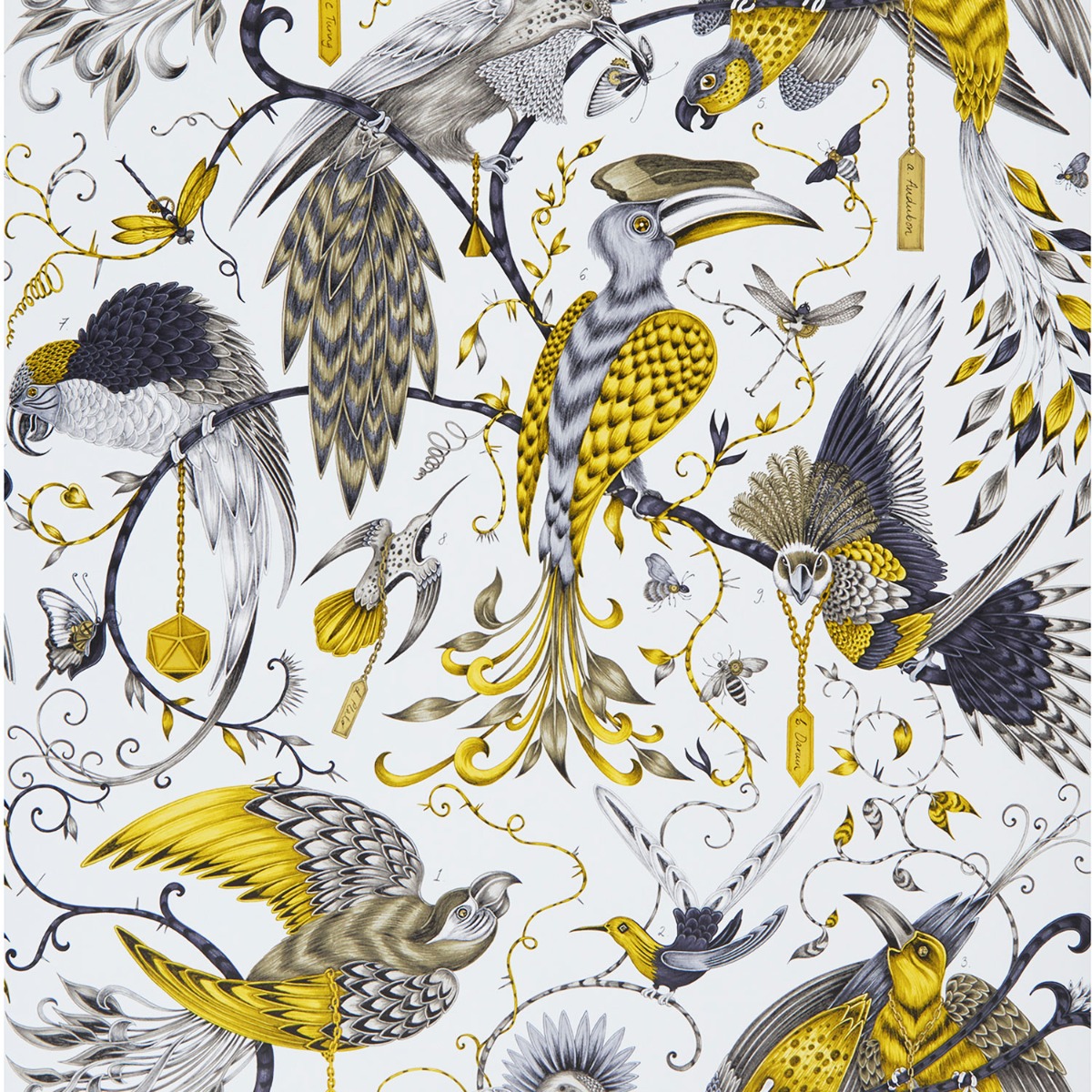 Audubon Velvet By Clarke & Clarke , HD Wallpaper & Backgrounds