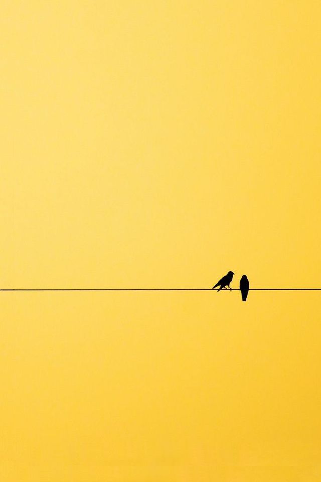 Minimalist Yellow Photography , HD Wallpaper & Backgrounds