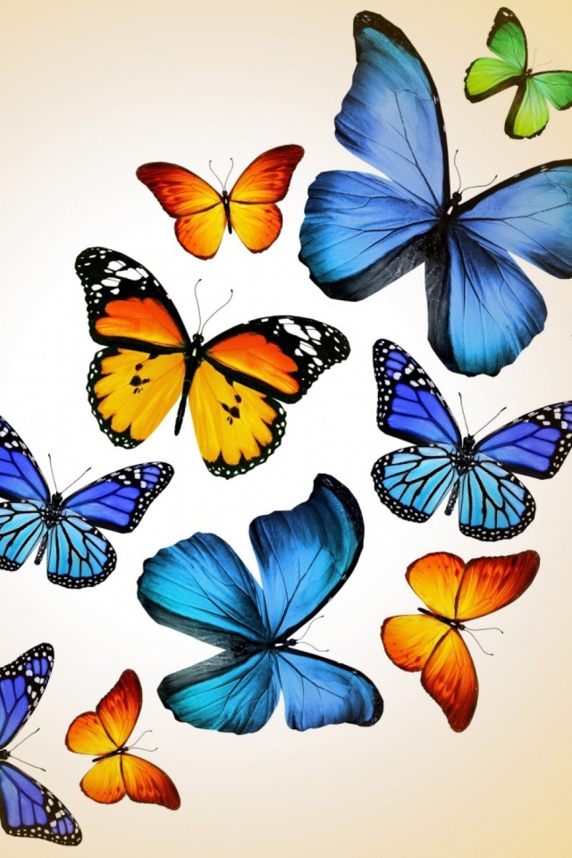 Butterfly Wallpaper Mobile - Butterflies Mobile Wallpaper Hd , HD Wallpaper & Backgrounds